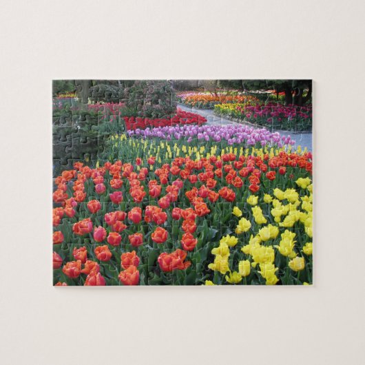 Puzzle Jardins de tulipe (Horizontal)