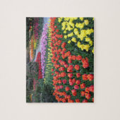 Puzzle Jardins de tulipe (Vertical)