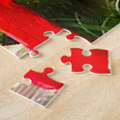 Puzzle Jardins japonais de Tully Kildare (Côté)