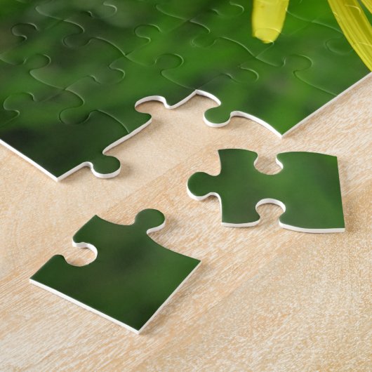 Puzzle jaune, betercup, plante, pissenlit, prairie, (Côté)