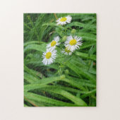 Puzzle jaune blanc fleur marguerite (Vertical)