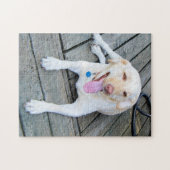 Puzzle jaune de Labrador (Horizontal)