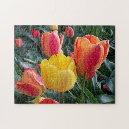 Puzzle Jaune et rouge Tulips Rock Garden Photo (Horizontal)