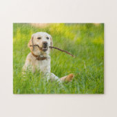 Puzzle Jaune Labrador Joue Récupérer Avec Bâton (Horizontal)