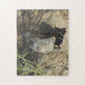 Puzzle Javelina (Vertical)