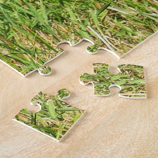 Puzzle Jay bleu du nord (Côté)