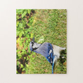Puzzle Jay bleu du nord (Vertical)