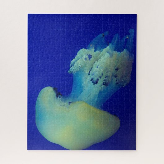 Puzzle Jelly Fish (Vertical)