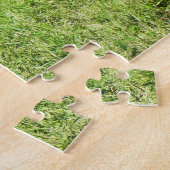 Puzzle Jersey cows farm animal (Côté)