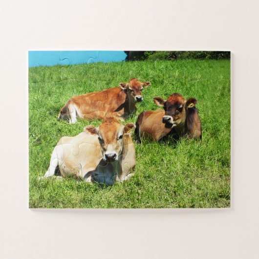 Puzzle Jersey cows farm animal (Horizontal)
