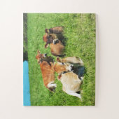 Puzzle Jersey cows farm animal (Vertical)