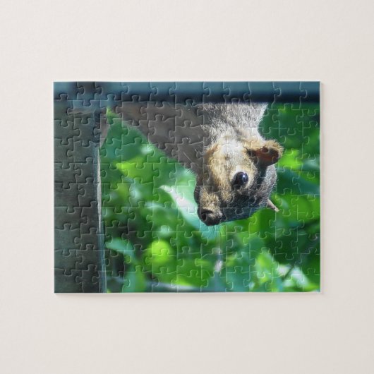 Puzzle Jeter un oeil à un écureuil amusant Boo (Horizontal)