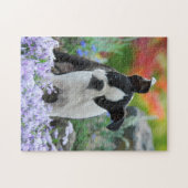 Puzzle Jeu mignon 11x14 de chiot de chien de Boston (Horizontal)
