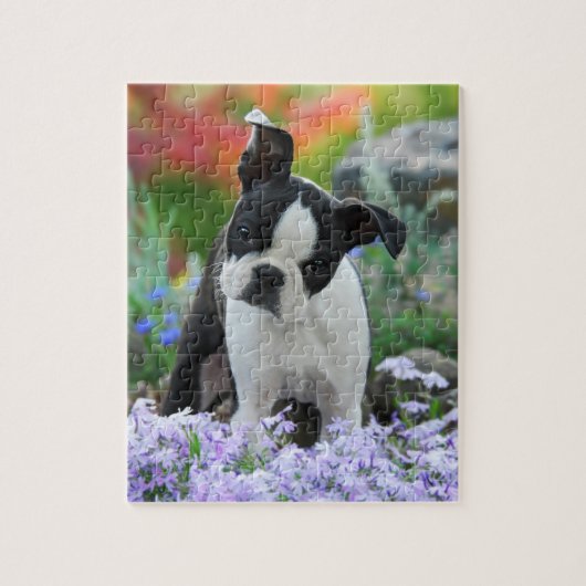 Puzzle Jeu mignon 8x10 de chiot de chien de Boston (Vertical)