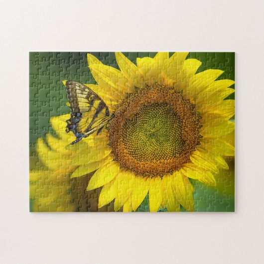 Puzzle Jeu Puzzle-Butterfly Tournesols (Horizontal)