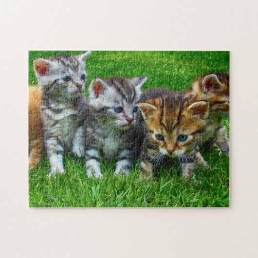 Puzzle Jeu Puzzle-Chatons (Horizontal)