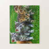 Puzzle Jeu Puzzle-Chatons (Vertical)