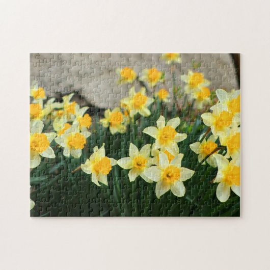 Puzzle Jeu Puzzle-Daffodiques (Horizontal)