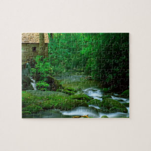 Puzzle Jeu Puzzle-Scène de ruisseau dans une forêt luxuri