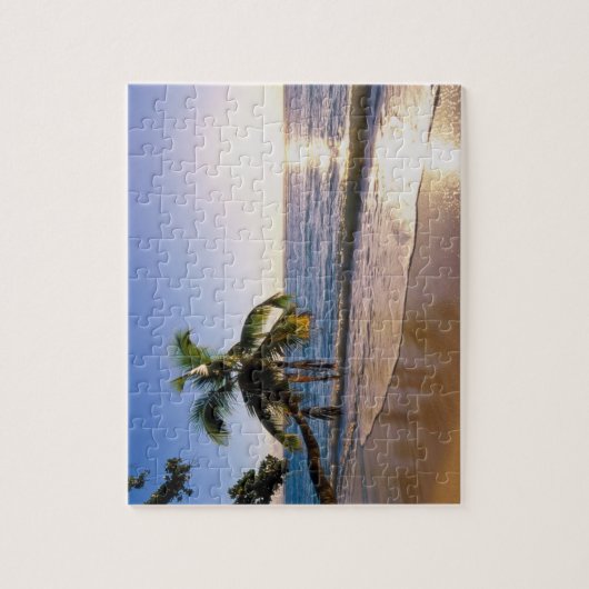 Puzzle Jeu Puzzle-Tropical Beach Scène (Vertical)