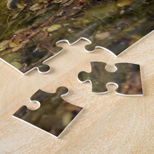 Puzzle Jeune Alligator (Côté)