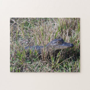 Puzzle Jeune Alligator dans la Prairie de Marais Faune Na
