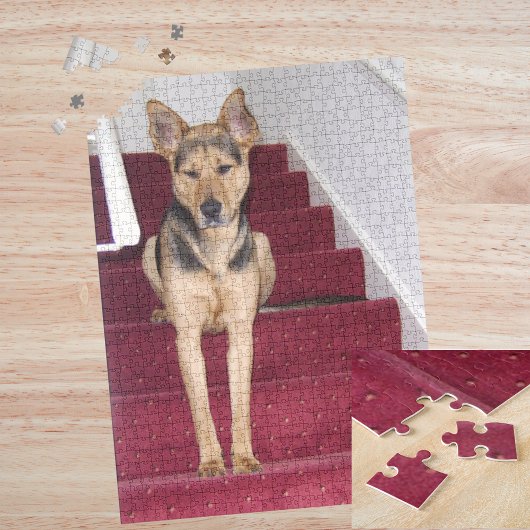 Puzzle Jeune berger allemand chien assis sur escaliers 16