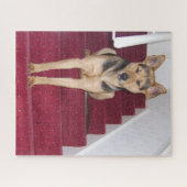 Puzzle Jeune berger allemand chien assis sur escaliers 16 (Horizontal)