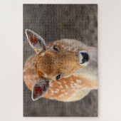 Puzzle Jeune cerf en jachère (Vertical)