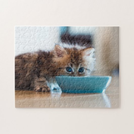 Puzzle Jeune chaton persan (Horizontal)