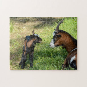 Puzzle Jeune chevreau