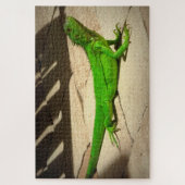 Puzzle Jeune Iguana verte sur le chemin de la roche (Vertical)