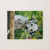 Puzzle Jeune jeu dalmatien mignon 8x10 de chiot de chien (Horizontal)