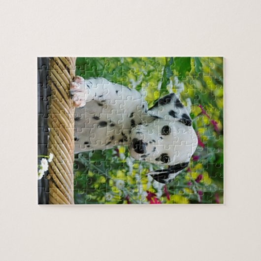Puzzle Jeune jeu dalmatien mignon 8x10 de chiot de chien (Horizontal)