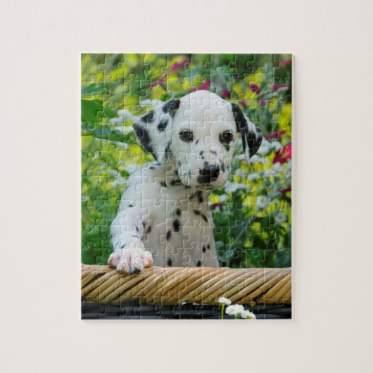 Puzzle Jeune jeu dalmatien mignon 8x10 de chiot de chien (Vertical)