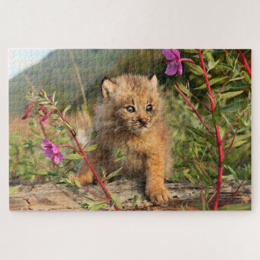 Puzzle Jeune Lynx du Canada, Alaska (Horizontal)