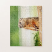 Puzzle Jeune marmotte (Vertical)