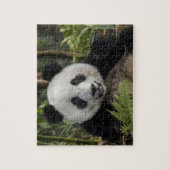 Puzzle Jeune panda heureux, Chine (Vertical)