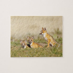 Puzzle Jeune Renard véloce (Vulpes macrotis) au terrier,