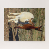 Puzzle Jeunes Alpacas Blancs Et Brown (Horizontal)