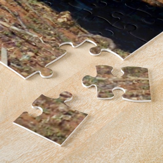 Puzzle Jeunes Alpacas Blancs Et Brown (Côté)