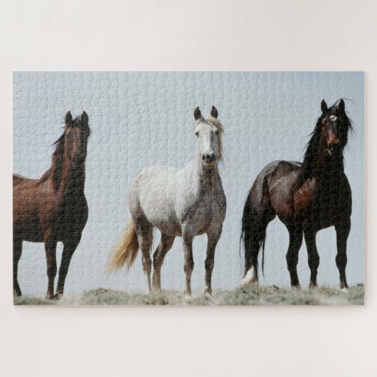 Puzzle Jeunes étalons sauvages (Horizontal)