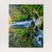 Puzzle Jigsaw Cascade Falls Mission British Columbia. (Vertical)