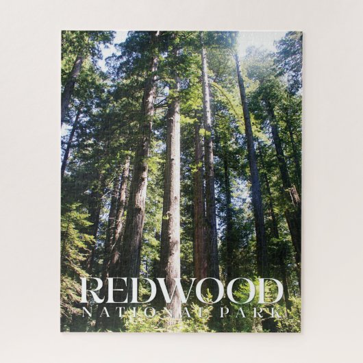 Puzzle JigsawPuzzle du parc national de Redwood (Vertical)