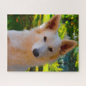 Puzzle Jigsaws Chien Chien Blanc Suisse. (Horizontal)