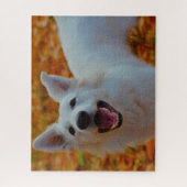 Puzzle Jigsaws Chien Chien Blanc Suisse. (Vertical)