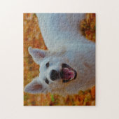 Puzzle Jigsaws Chien Chien Blanc Suisse. (Vertical)