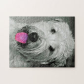 Puzzle Jigsaws de Chien De Terrier. (Horizontal)