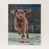 Puzzle Jigsaws de Chien Weimaraner. (Vertical)