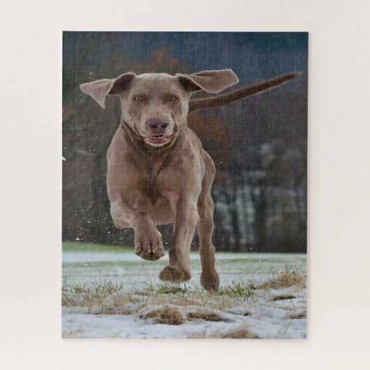 Puzzle Jigsaws de Chien Weimaraner. (Vertical)